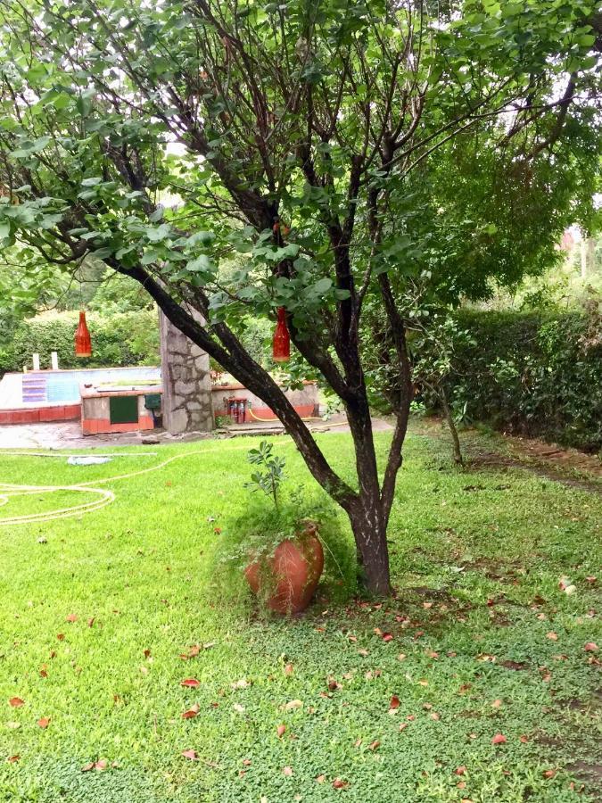 בית הארחה La Union 	Casa De Huespedes El Trebol De Ezeiza מראה חיצוני תמונה